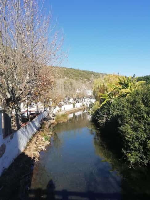 Albufeira: 6 Hour Jeep Tour with Lunch - Lunch at Aldeia da Tôr