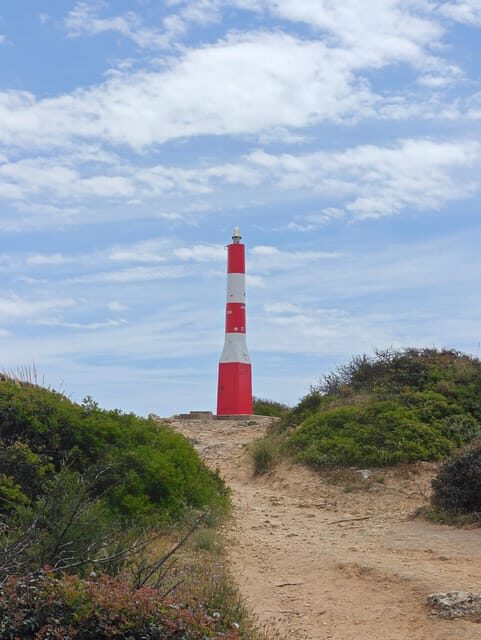 Albufeira: Albufeira Marina & west coast Tour 1.5h - Who Will Love This Tour?