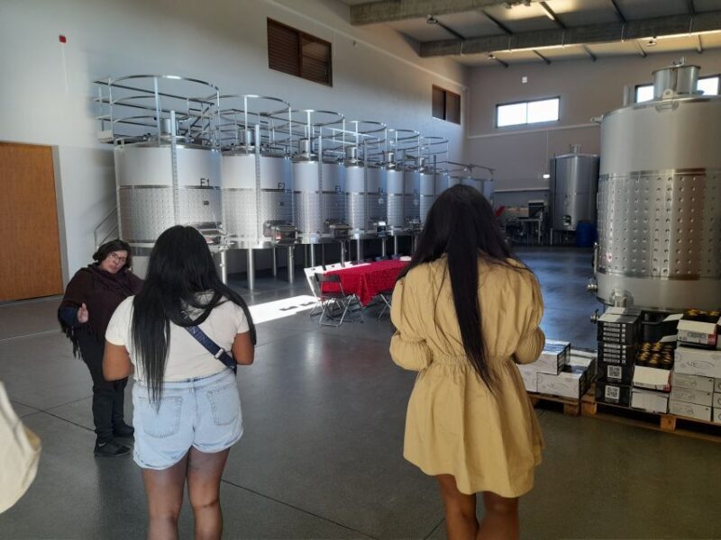 Albufeira: Algarve Coast Guided Tour with Wine Tasting - The Itinerary in Detail