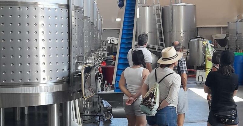 Albufeira: Algarve Coast Guided Tour with Wine Tasting - The Value of This Tour