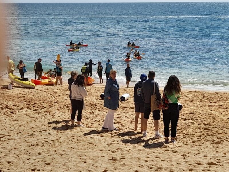 Albufeira: Algarve Coast Guided Tour with Wine Tasting - Who Is This Tour Best For?