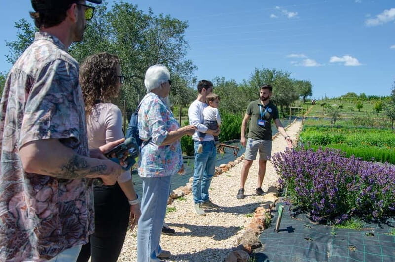 Albufeira: Algarve Traditions & Food Tasting - Who Will Appreciate This Tour?