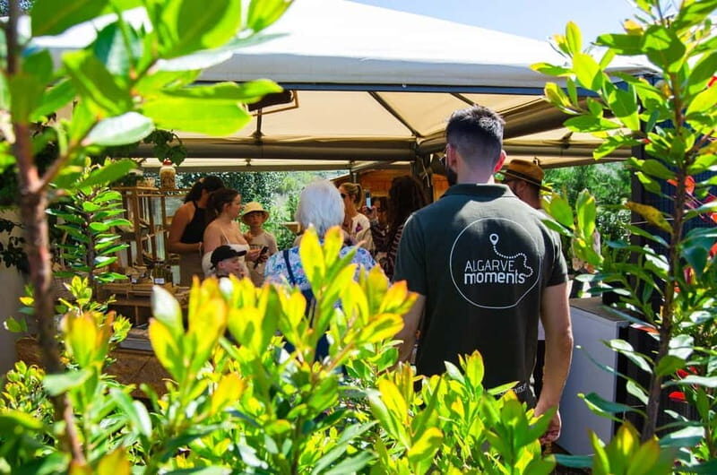 Albufeira: Algarve Traditions & Food Tasting - Final Thoughts: Is It Worth It?