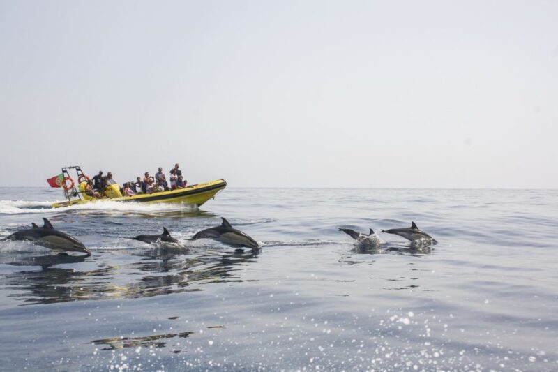 Albufeira: Benagil Caves & Dolphin Watching Speed Boat Tour - An In-Depth Look at the Tour Experience