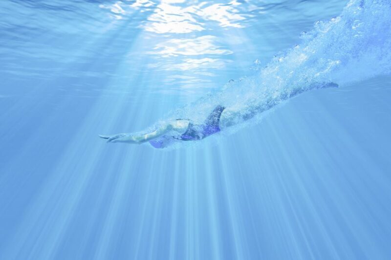 Albufeira: Benagil Caves & Dolphin Watching Speed Boat Tour - Final Thoughts