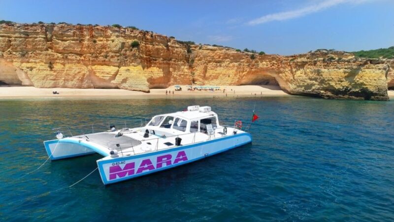 Albufeira: Catamaran Cruise with BBQ & Open Bar on the Beach - Exploring the Algarve Coast from the Water