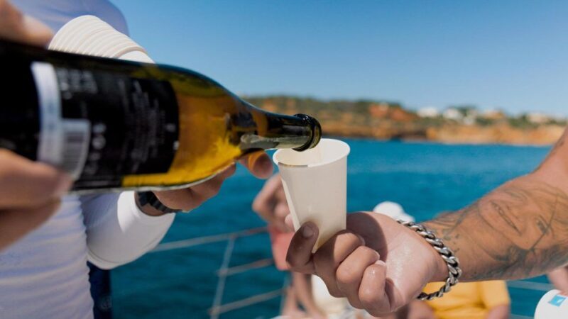 Albufeira: Caves and Coastline Catamaran Cruise to Benagil - Final Thoughts: Who Will Love This Tour?