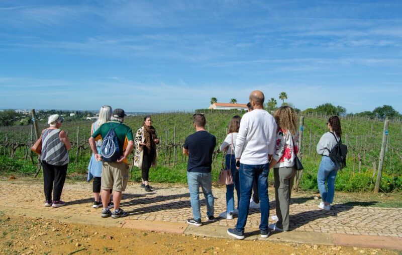 Albufeira: City Highlights & WINE TASTING - FAQs about the Albufeira City Highlights & WINE TASTING Tour
