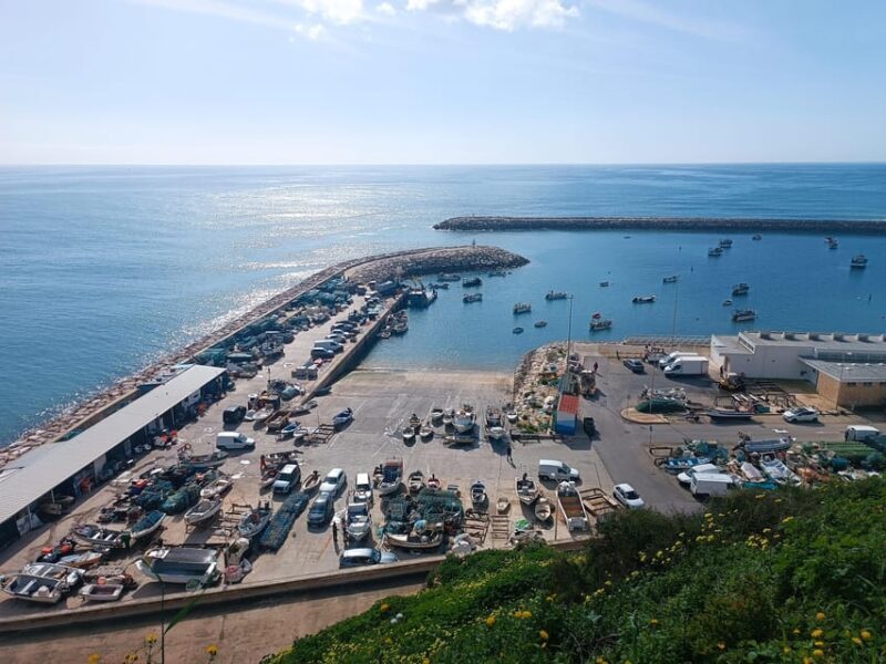 Albufeira: City Highlights & WINE TASTING - Final Thoughts