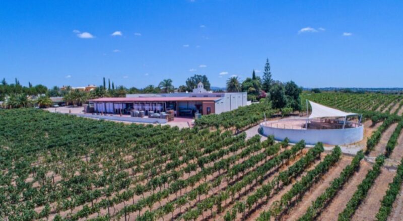 Albufeira Coast Tour, Winery & Chicken lunch - Practical Details & What It Means for You
