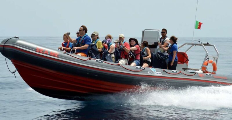 Albufeira: Dolphin Watching and Benagil Cave Boat Cruise - Exploring the Itinerary: What You Can Expect