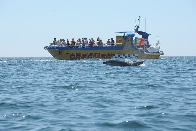 Albufeira Dreamer Boat Trip - Who Should Consider This Tour?