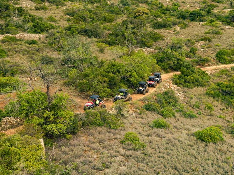 Albufeira: Full-Day Buggy Driving Tour with Lunch Included - FAQ