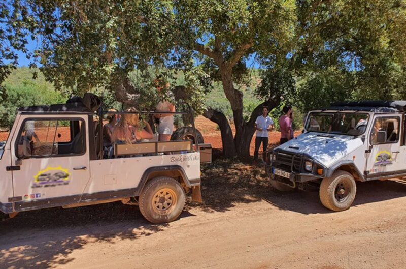 Albufeira: Full Day Safari Excursion in Algarve Mountains - Final Thoughts: Is It Worth It?