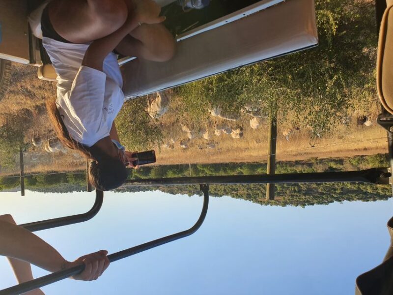 Albufeira: Full Day Safari Excursion in Algarve Mountains - Frequently Asked Questions