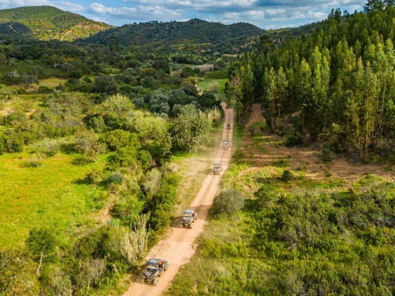 Albufeira: Off-Road Buggy Adventure - What to Expect from the Buggy Adventure in Albufeira