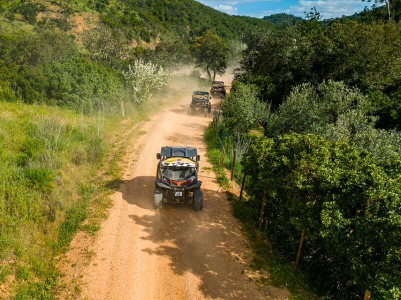 Albufeira: Off-Road Buggy Adventure - Pricing and Value for Money