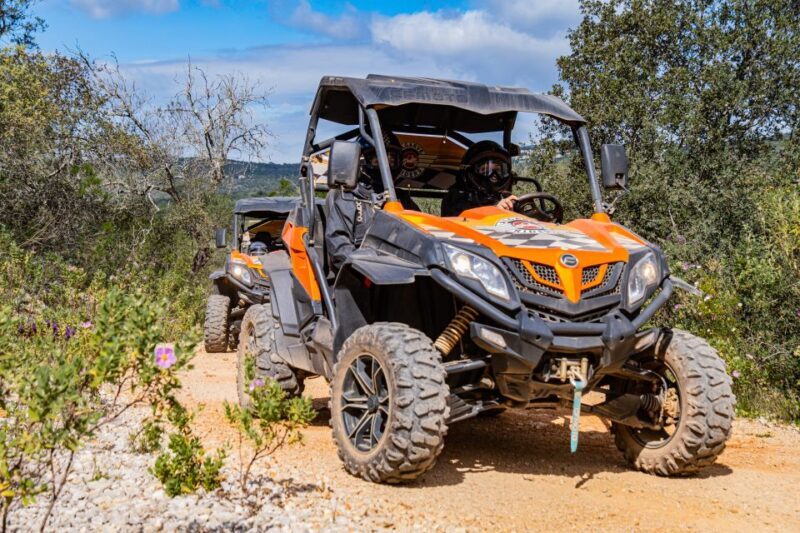 Albufeira: Off-Road Buggy Adventure - Who Will Love This Experience?