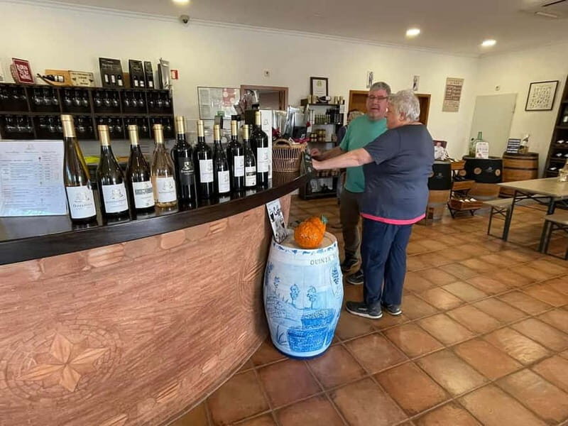Albufeira, Olhão, Faro: visit to a vineyard, free time in Silves - Key Points