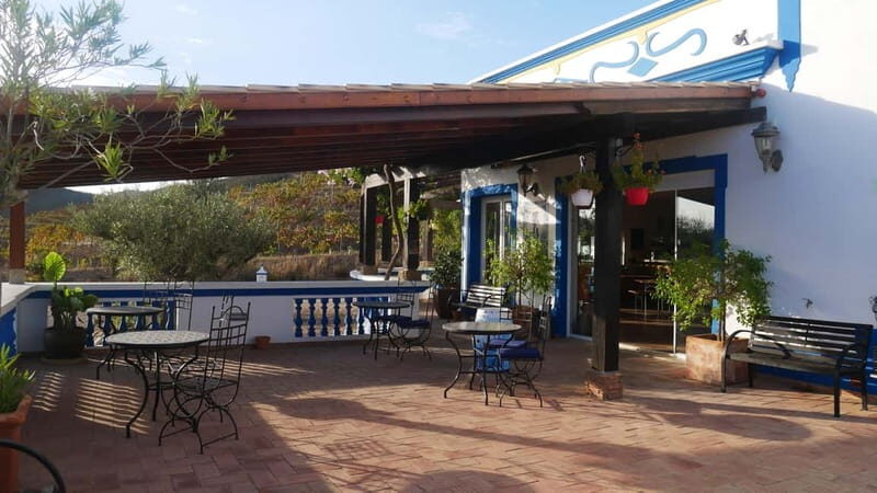 Albufeira, Olhão, Faro: visit to a vineyard, free time in Silves - Price and Value