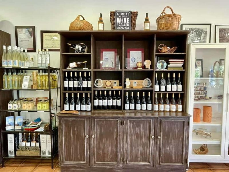 Albufeira, Olhão, Faro: visit to a vineyard, free time in Silves - Final Thoughts