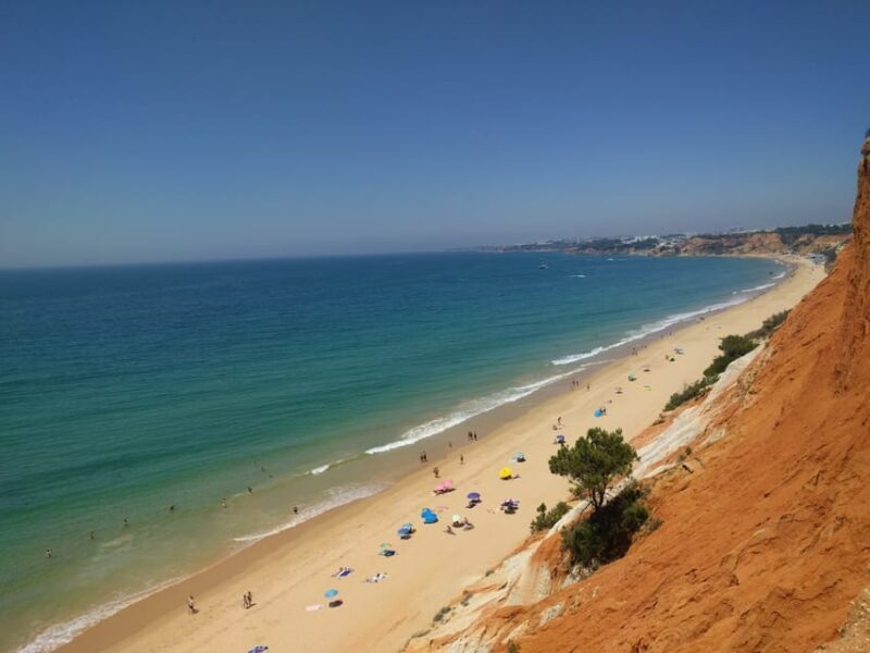 Albufeira: Private Tuk-Tuk Tour - Authentic Insights from Past Travelers