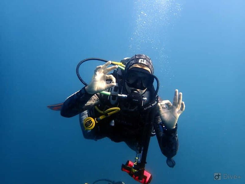 Albufeira: Scuba Diving Experience for Beginners - The Bottom Line: Who Should Consider This Experience?