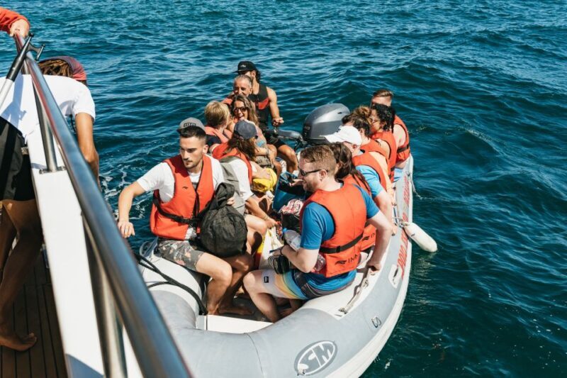 Albufeira: Sightseeing Cruise with Beach BBQ and Open Bar - Why This Tour Is a Great Choice