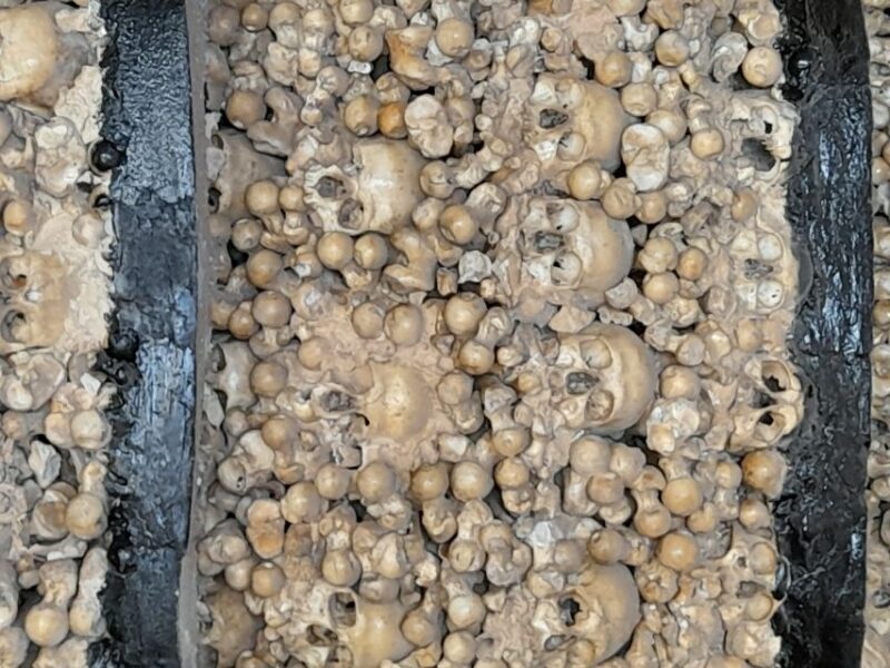 Albufeira: Silves Castle and Chapel of Bones, and Benagil - Final Thoughts