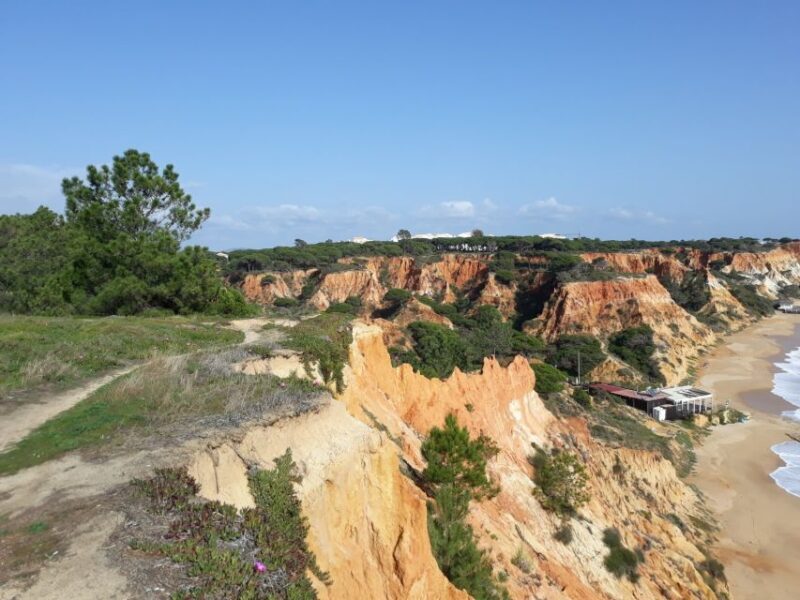 Albufeira: Tuk-tuk Sightseeing Tour - FAQ