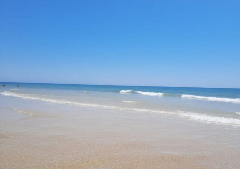 Albufeira - Visit Olhão & Culatra Island with lunch included - An In-Depth Look at the Tour Experience