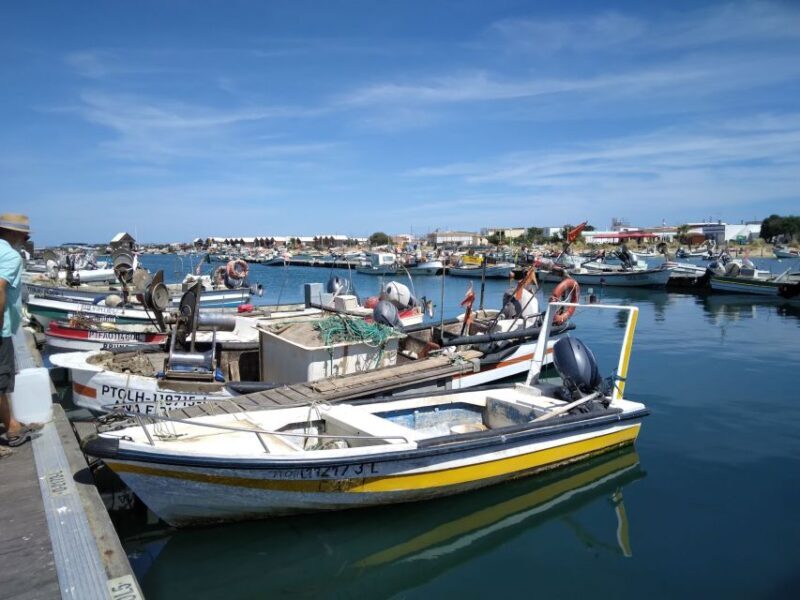 Albufeira - Visit Olhão & Culatra Island with lunch included - Practical Details and Value