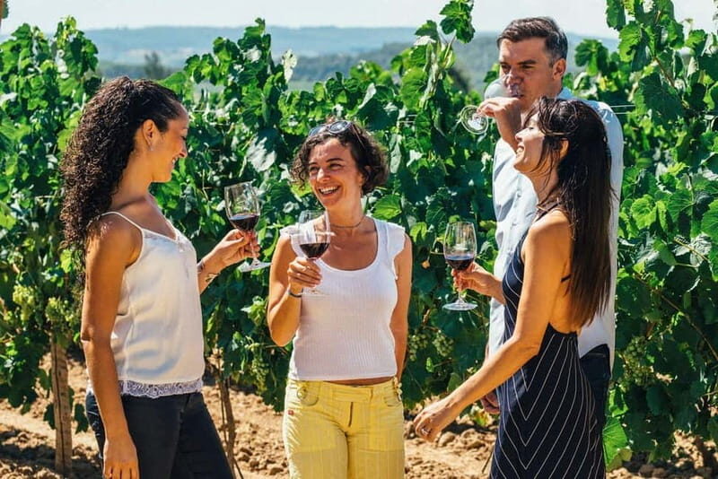 Albufeira: Wine Tasting Tour with Castle and Windmill Visit - Why This Tour Offers Good Value