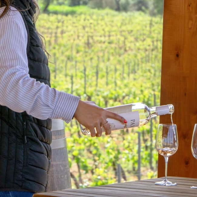 Albufeira: Wine Tasting Tour with Castle and Windmill Visit - Practical Tips for Your Tour