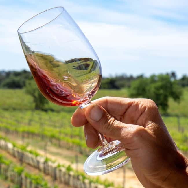 Albufeira: Wine Tasting Tour with Castle and Windmill Visit - FAQ