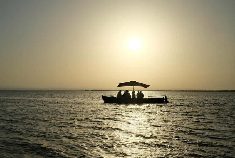 Albufera Bike Adventure: Wetlands, Beaches & Biodiversity - Key Points