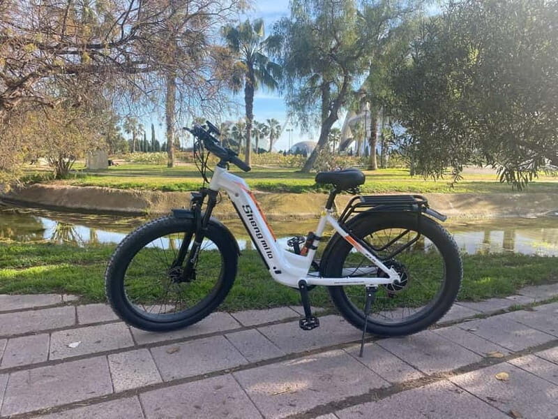 Albufera Bike Adventure: Wetlands, Beaches & Biodiversity - An Overview of the Tour Experience