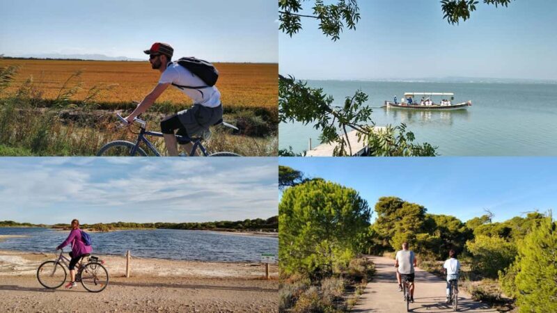 Albufera Complete Bike Tour-Rice Fields, Lake, Boat & Paella - An In-Depth Look at the Albufera Bike Tour