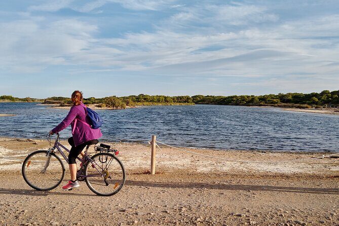 Albufera Highlights Loop Bike Tour with Boat Trip & Paella - Key Points