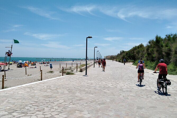 Albufera Highlights Loop Bike Tour with Boat Trip & Paella - Practical Details and What You Should Know