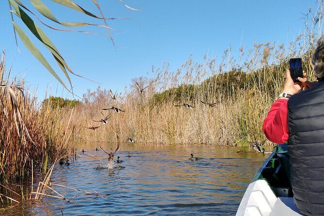 Albufera Highlights Loop Bike Tour with Boat Trip & Paella - Final Thoughts