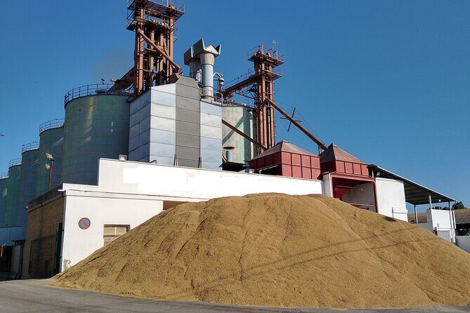 Albufera Highlights Loop Bike Tour with Boat Trip & Paella - FAQ