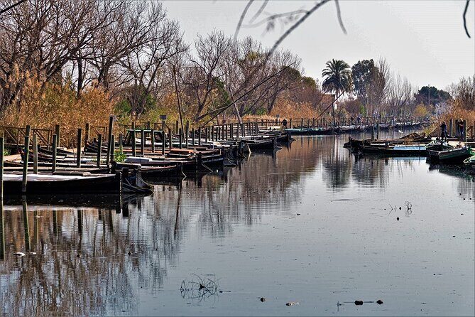 Albufera: Lake, Paella and Birdwatching - Key Points