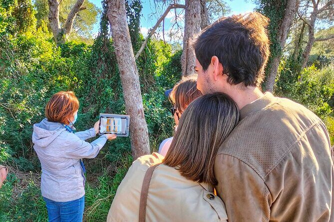 Albufera Natural Park Tour with Boat Ride from Valencia - Exploring the Albufera Natural Park: A Detailed Review