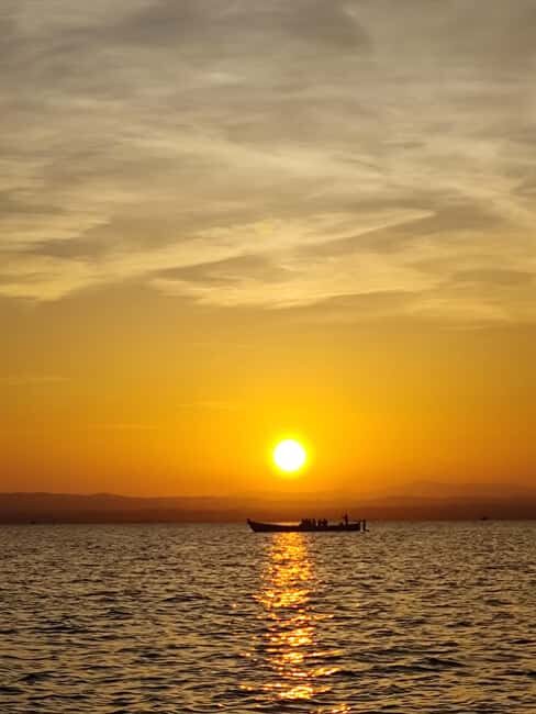 Albufera: Sunset and visit to the barraca - Who Will Love This Tour?