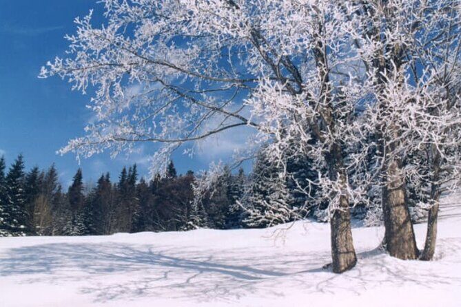 Albuquerque Snowshoe Experience - Final Thoughts