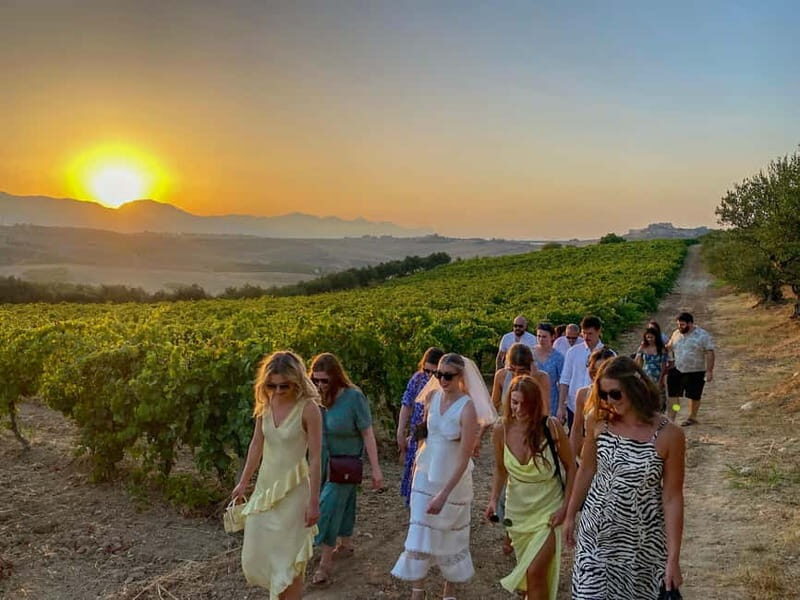 Alcamo: Natural Wine & Olive Oil Tasting - Sicily - Key Points