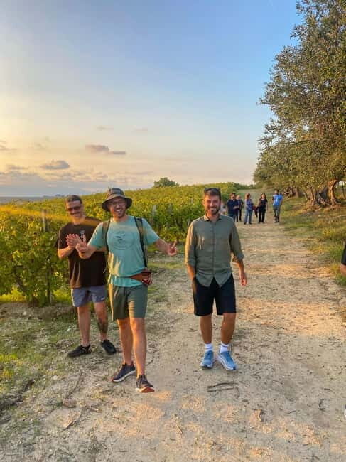 Alcamo: Natural Wine & Olive Oil Tasting - Sicily - A Deep Dive into the Alcamo Experience