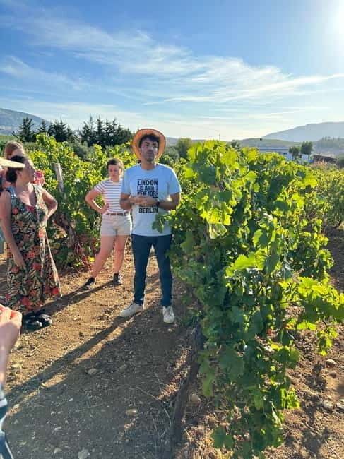 Alcamo: Natural Wine & Olive Oil Tasting - Sicily - FAQ