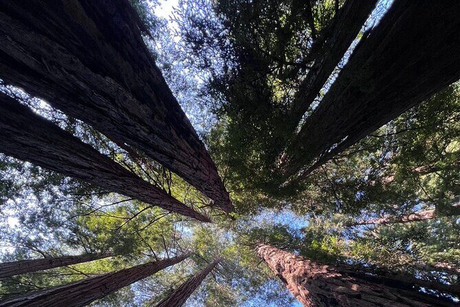 Alcatraz Night Tour & Muir Woods-Sausalito Afternoon or Morning - Final Thoughts